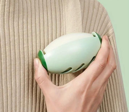 Portable Lint Roller